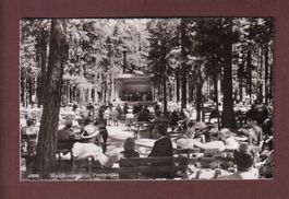 PONTRESINA - Waldkonzert - 1955