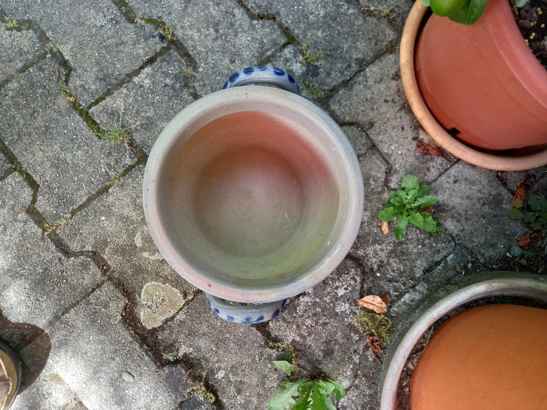 Töpfe: Steingut – Gebraucht aus Seon von Zack_16 4