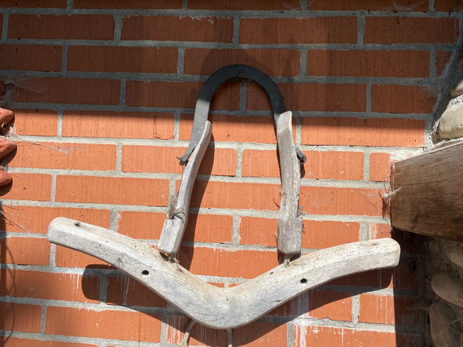 Briglie & Cavezze: ant. Ochsenjoch – Usato da St. Gallen venduto da Blin 1