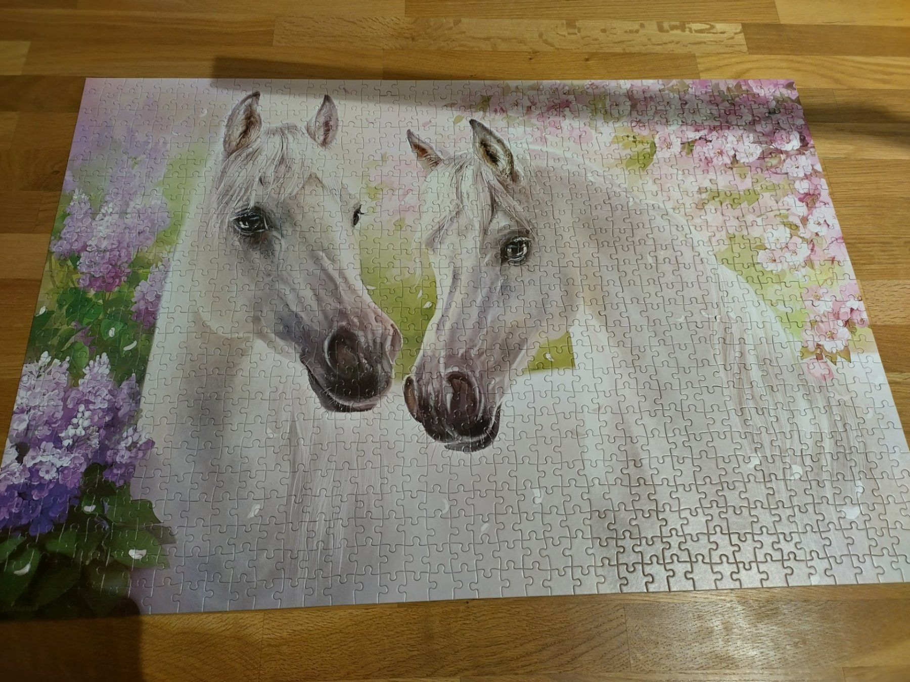 Puzzles: 1000er Puzzle Castorland, neuw. – Neuf (Voir description) à Full-Reuenthal par Ilor0309 1