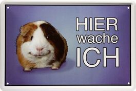 Blechschild--MEERSCHWEINCHEN-HIER WACHE