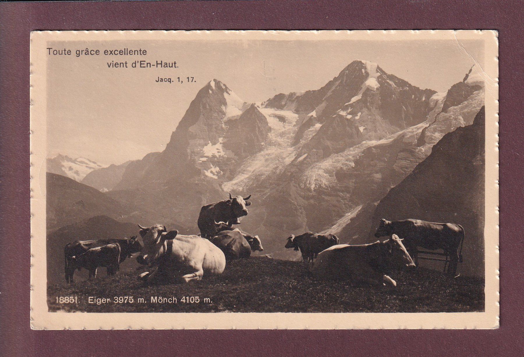 Cartoline postali: EIGER - MÖNCH - Kühe - Verset - 1917 Feldpost // Eckbug // – Usato da Pully venduto da nicecards