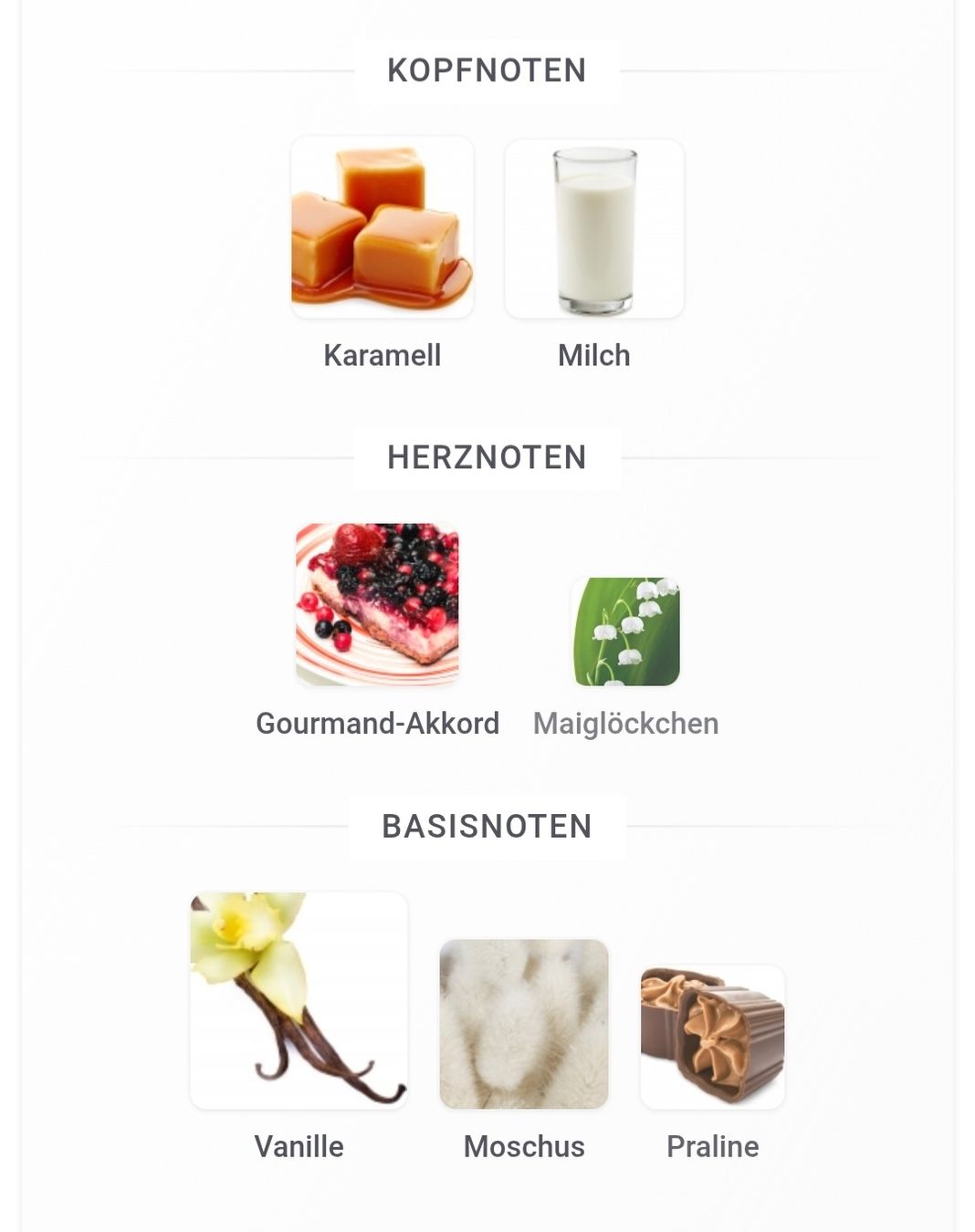 Parfum & Eau de Toilette: RIIFFS Noor Extrait  – Gebraucht aus Winterthur von Je. 4