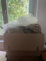 Umzug Verpackungsmaterial