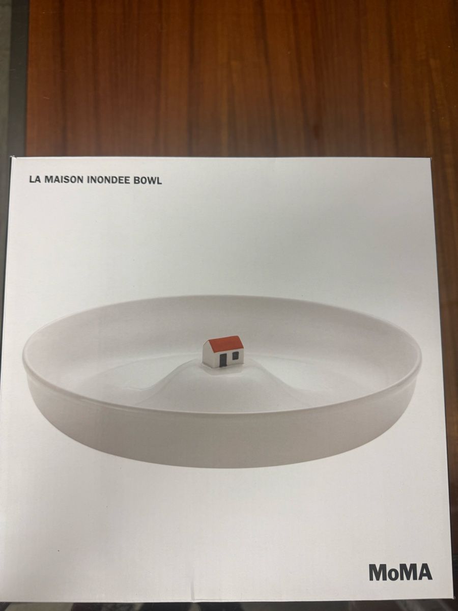 Ciotole: LA MAISON INONDEE Bowl new 25cm diameter – Nuovo e nell'imballaggio originale da Olten venduto da egg_6hly 1