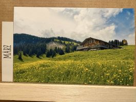 AK von Sennhütte Menigwald Diemtigen