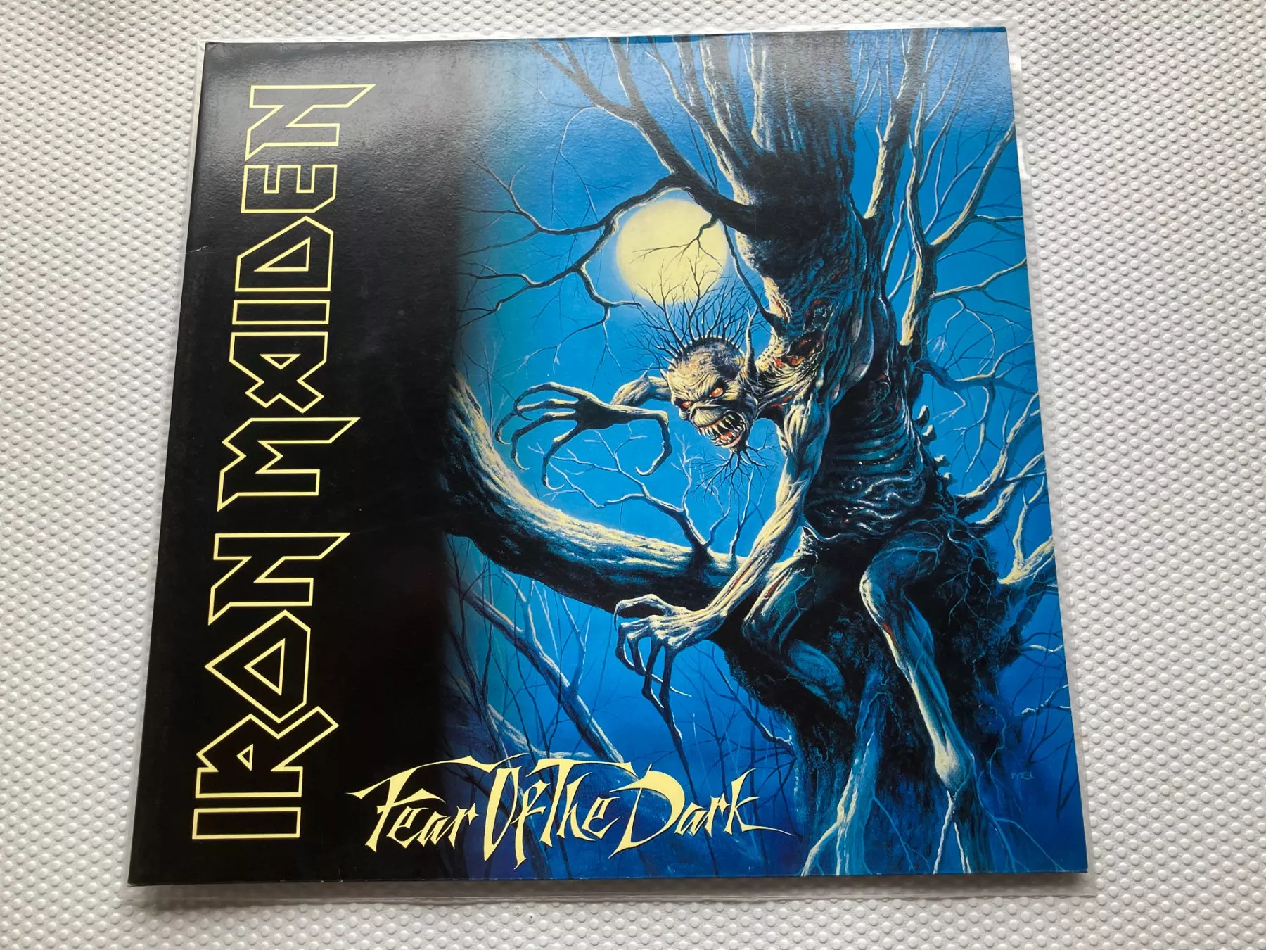 Dischi in vinile: Iron Maiden – Usato da Aarwangen venduto da Jukebox3