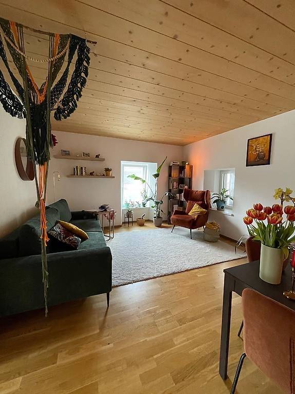 Sofas: Schlafsofa  – D'occasion à Ollon VD par csi_z759 1