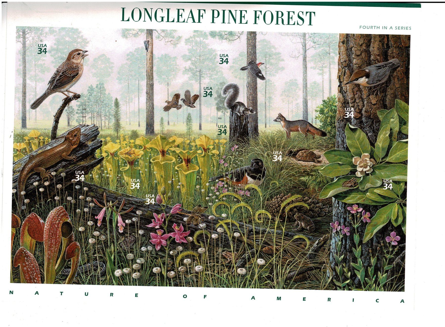 Tous les timbres: USA Longleaf Pine Forest 1 KB ** – Neuf (Voir description) à Lausanne par Whorvath
