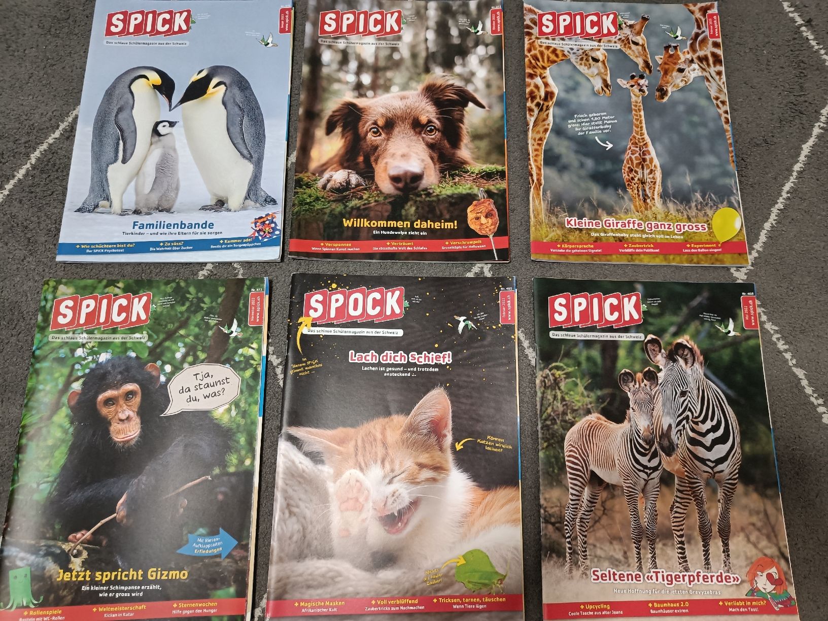 Riviste & Magazine: SPICK Wissensmagazine - 6 Stück – Usato da Rorschach venduto da Laboumedeluxe