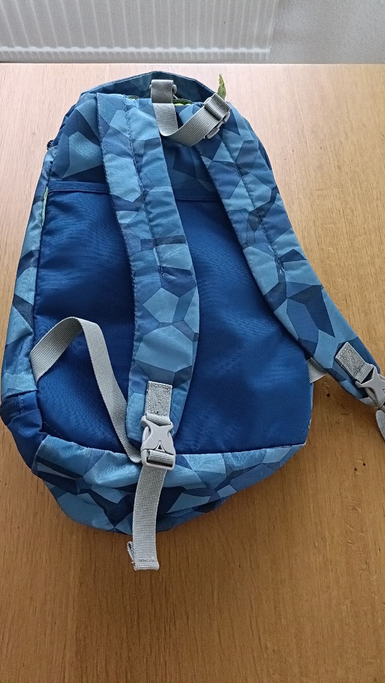 Ergobag Kindertaschen: Ergobag Schulthek mit Turnsack – Gebraucht aus Hinwil von Anlija 2