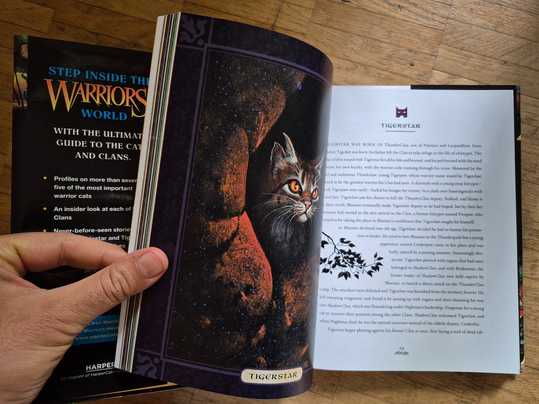 Libri: WARRIOR CATS (STAFFEL 1-6) – Usato da Zürich venduto da Fatpat 1