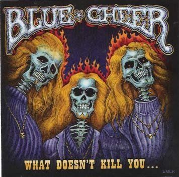 CD: CD Blue Cheer - What doesn't kill you (2007) – Usato da Möriken AG venduto da mineralia