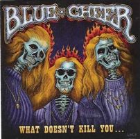 CD Blue Cheer - What doesn't kill you (2007)