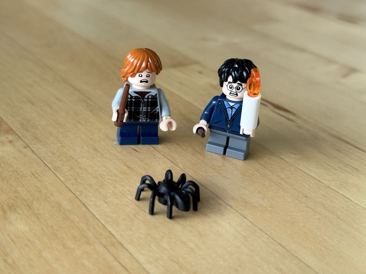 Lego Giocattoli: Lego Harry Potter Set - Ron, Harry & Spinne – Usato da Neuhausen am Rheinfall venduto da Laghi