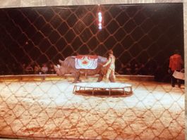 Circus Knie Foto 1982