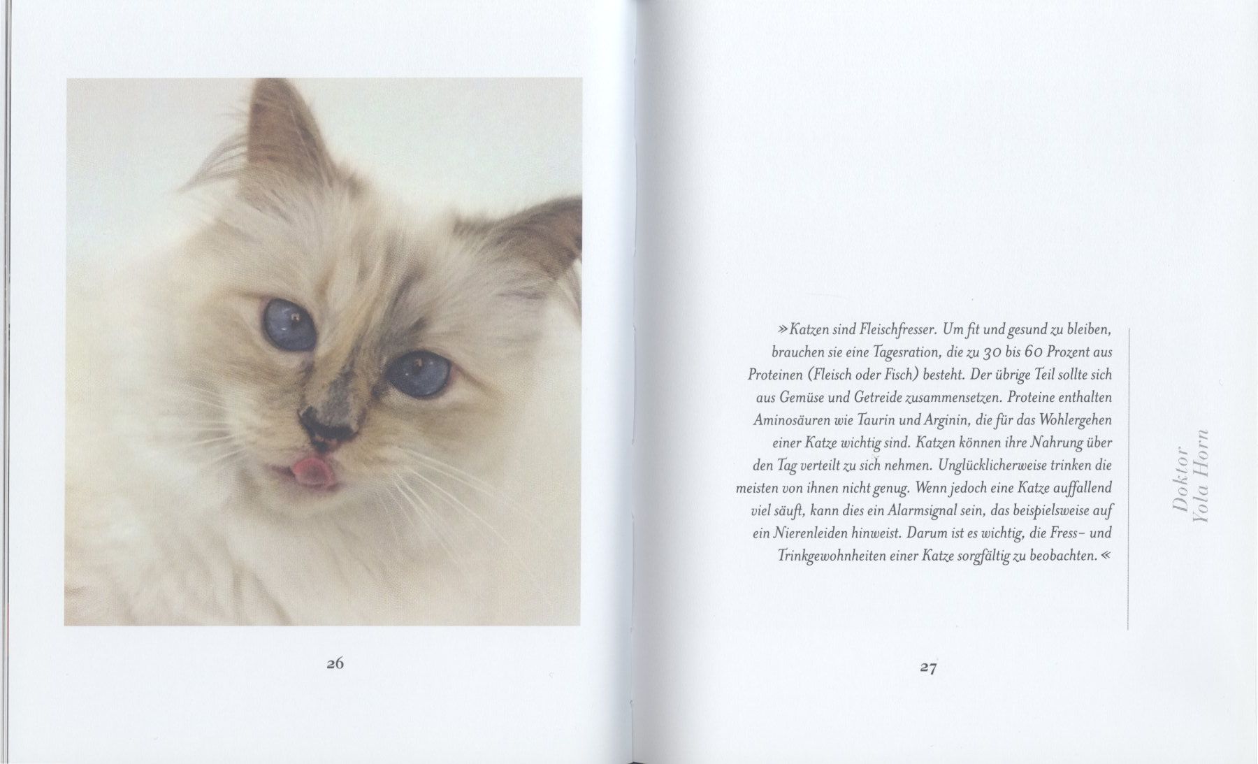 Libri: KARL LAGERFELD und Katze CHOUPETTE – Usato da Biel/Bienne venduto da 07helios032 3