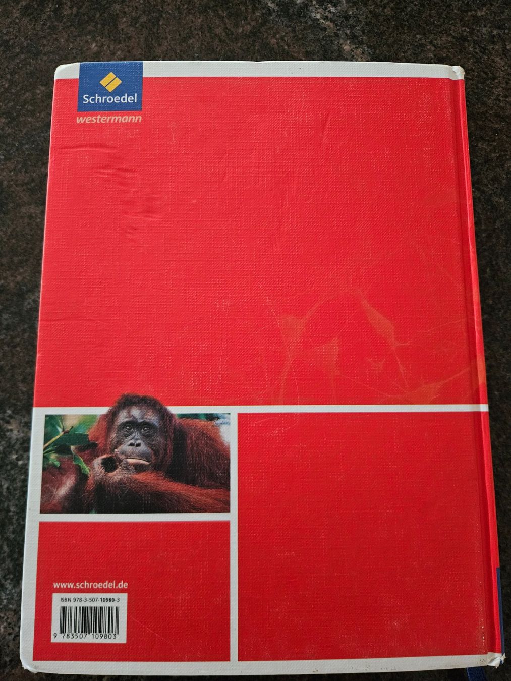 Libri: Biologie heute S2 – Usato da Volketswil venduto da Lokitier 1
