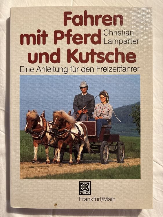 Prinzessinnen-Karte Mit Pferd & Kutsche – Elegante Grußkarte 12,7 X 17,8 Cm Für Geburtstag & Hochzeit