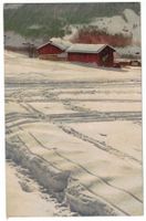Neujahrskarte 1909/10 (Meisser/Honold)