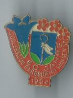Jodlerklub Bärgblüemli Wangen SZ, Pin