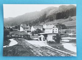 Neuthal - Station - Einfahrt des Dampfzuges - UeBB Bahn