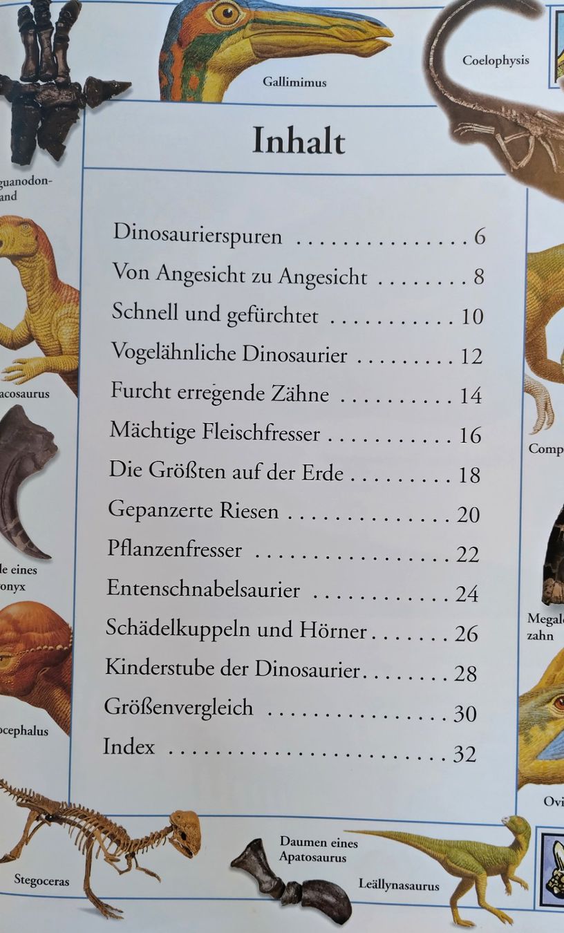 Libri: Das grosse Bilderlexikon der Dinosaurier / Grosses Format – Usato da Bellach venduto da JingleJerry 3