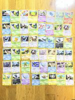 Pokémon Karter  Bulk