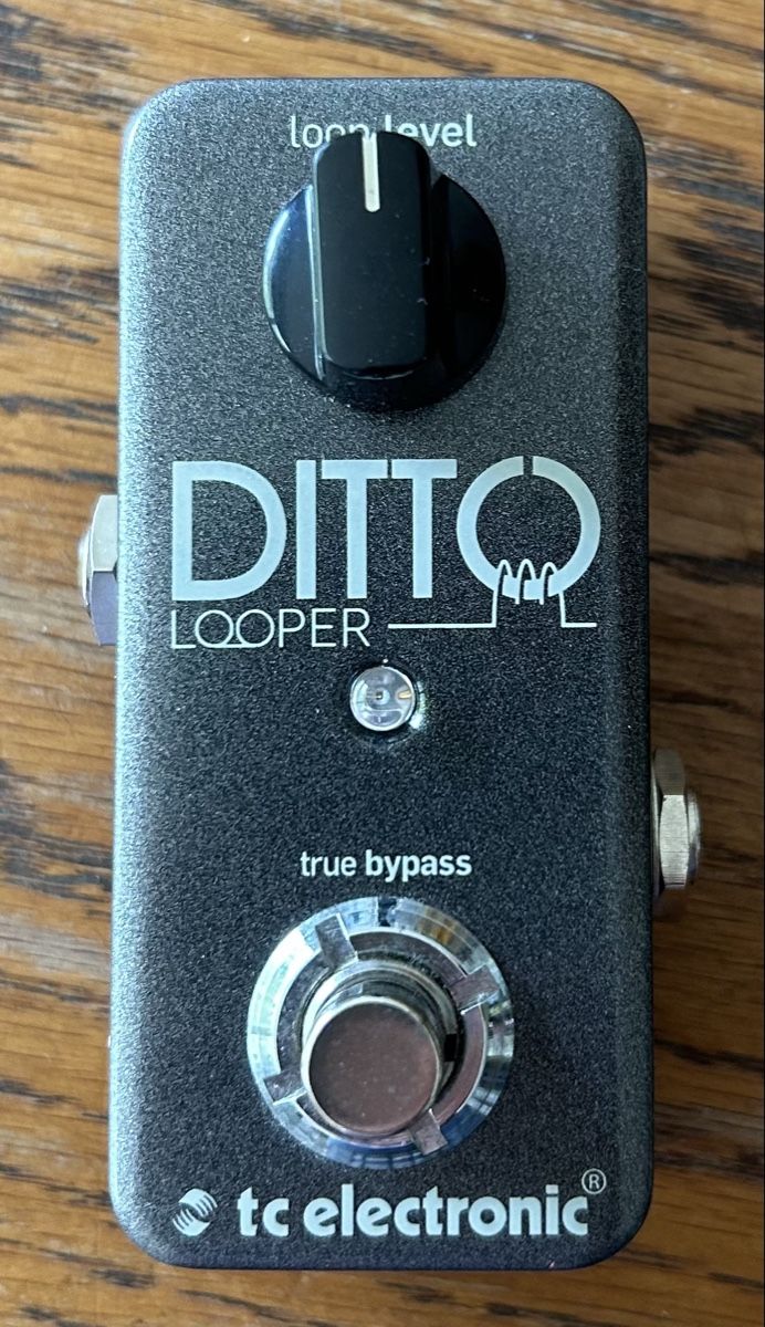 Strumenti musicali: TC Electronic Ditto Looper True Bypass Gitarreneffek – Usato da Zürich venduto da 3rdstone