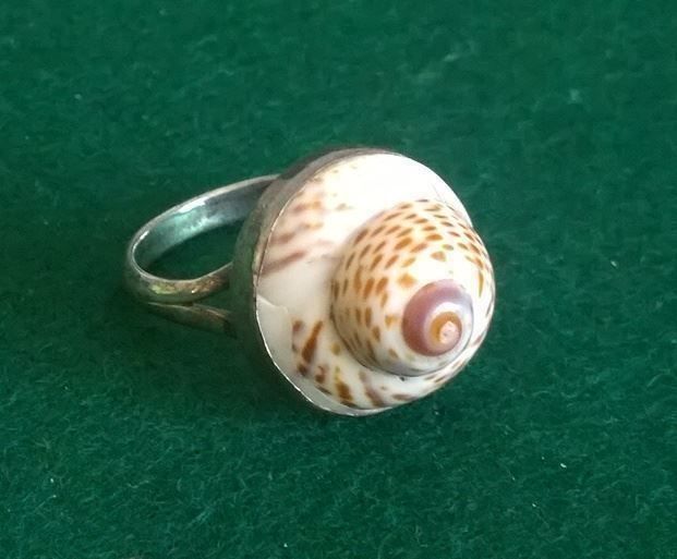 Anelli: SCHNECKENHAUS RING IN 925 SILBER – Usato da Romanshorn venduto da BoutiqueA 1