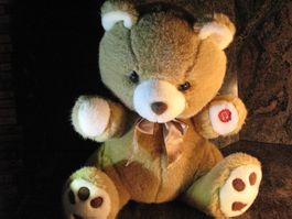 Teddy Bär