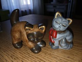 Bozen Thun Katzen