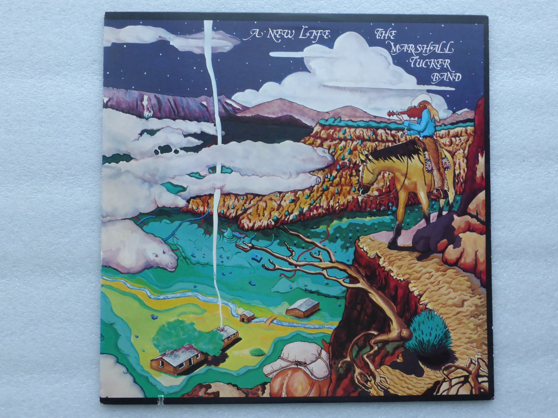 Dischi in vinile: VINYL   LP  THE MARSHALL TUCKER BAND – Usato da Küssnacht am Rigi venduto da Sunnestrahl