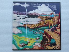 VINYL   LP  THE MARSHALL TUCKER BAND