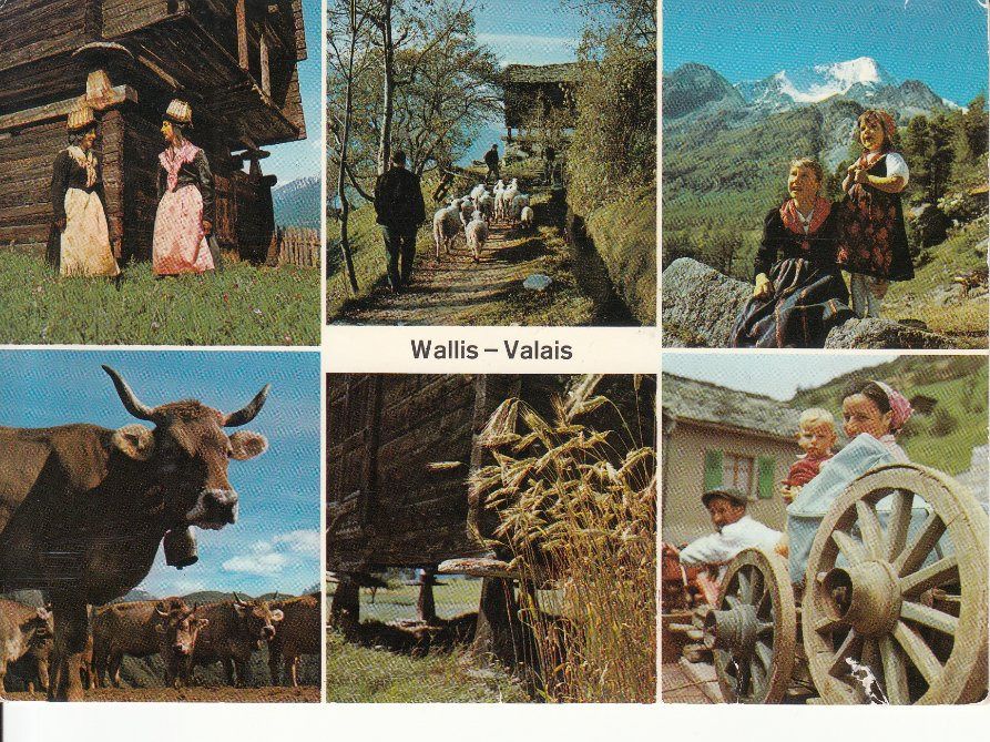 Cartoline postali: Wallis 1972 – Usato da Bürglen TG venduto da StampGraf