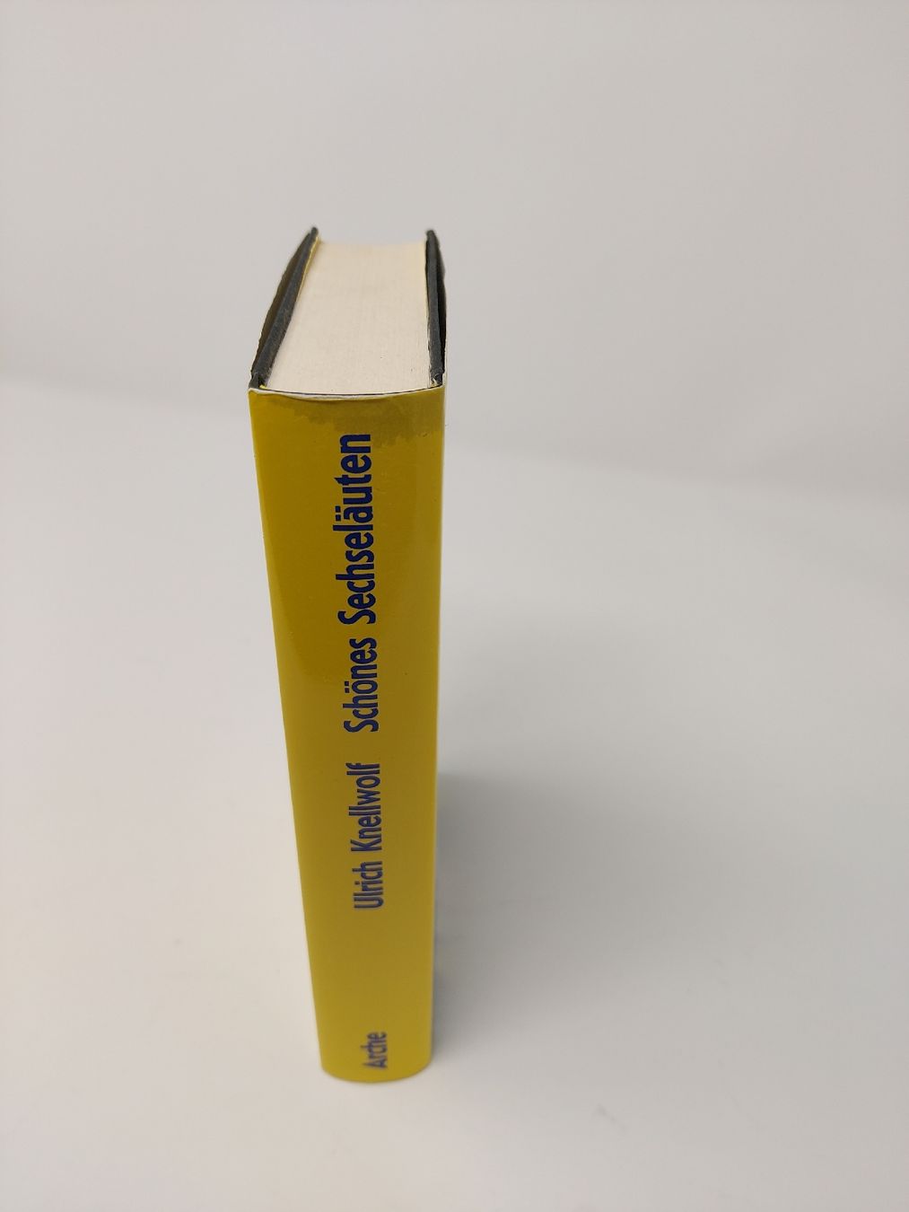 Libri: Schönes Sechseläuten – Usato da Meisterschwanden venduto da phaus38 1