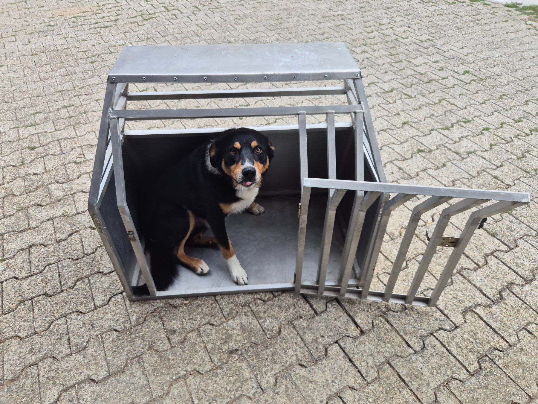 Cucce & Letti: Hundebox – Usato da Stein AR venduto da Bienli4 1