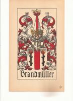 Wappen Brandmüller Basel Wappenbuch Carl Roschet Heraldik