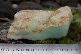 Chrysopras XL Rohstück  560g     Topstone  ab  20.-