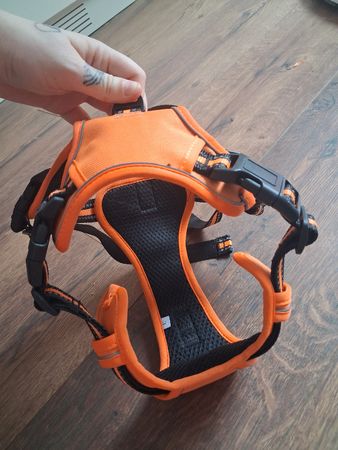Hunde-Geschirr orange, Grösse L, neuwertig, ideal für Sommer