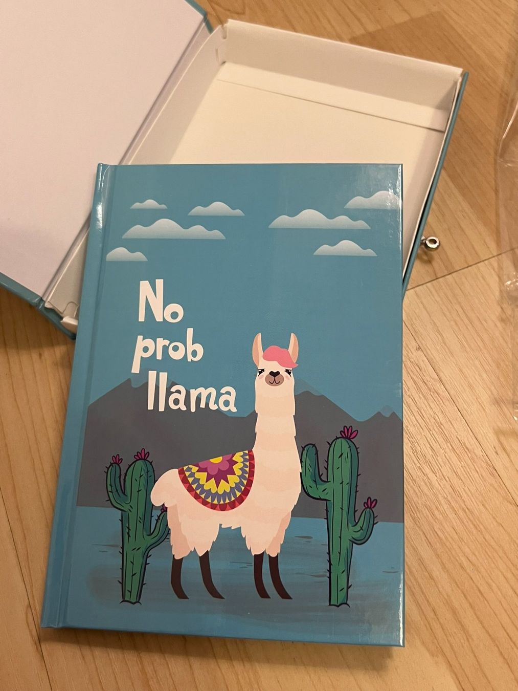 Bücher: Lama Tagebuch mit Schloss #47 – Neu und originalverpackt aus Wildegg von Car-Mania 2