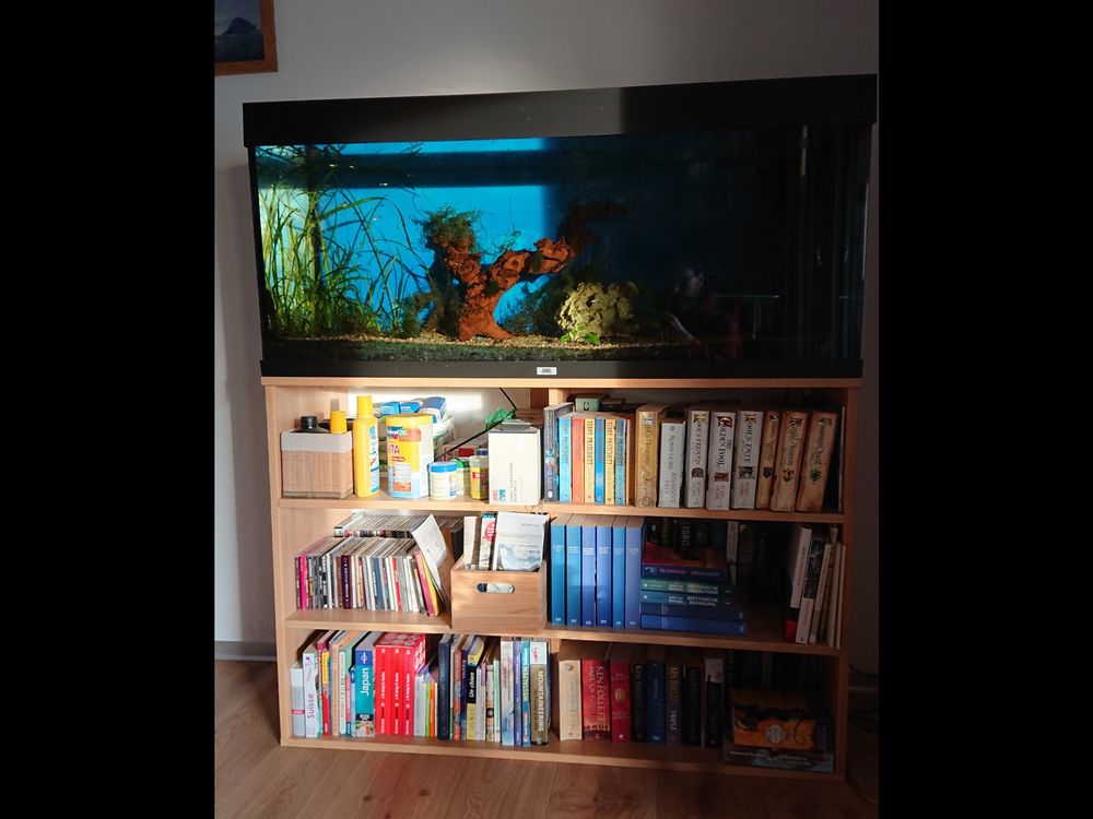 Juwel Aquarium 240l mit Fischen, Lichtkasten defekt Kaufen auf Ricardo