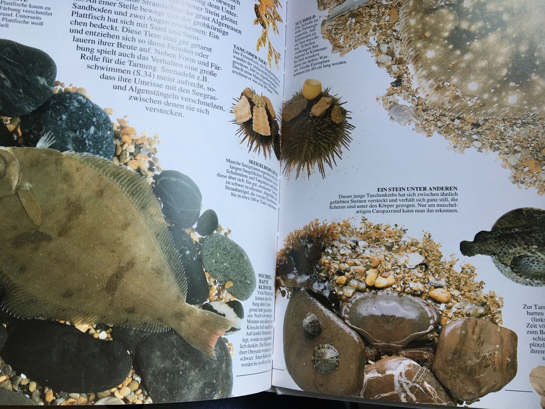 Bücher: Strand und Meeresküste – Gebraucht aus Arth von Vrecam51 2