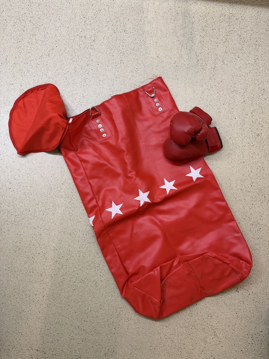 Sacchi da boxe: Neuer Boxsack und Boxhandschuhe – Nuovo (secondo la descrizione) da Basel venduto da Bahador