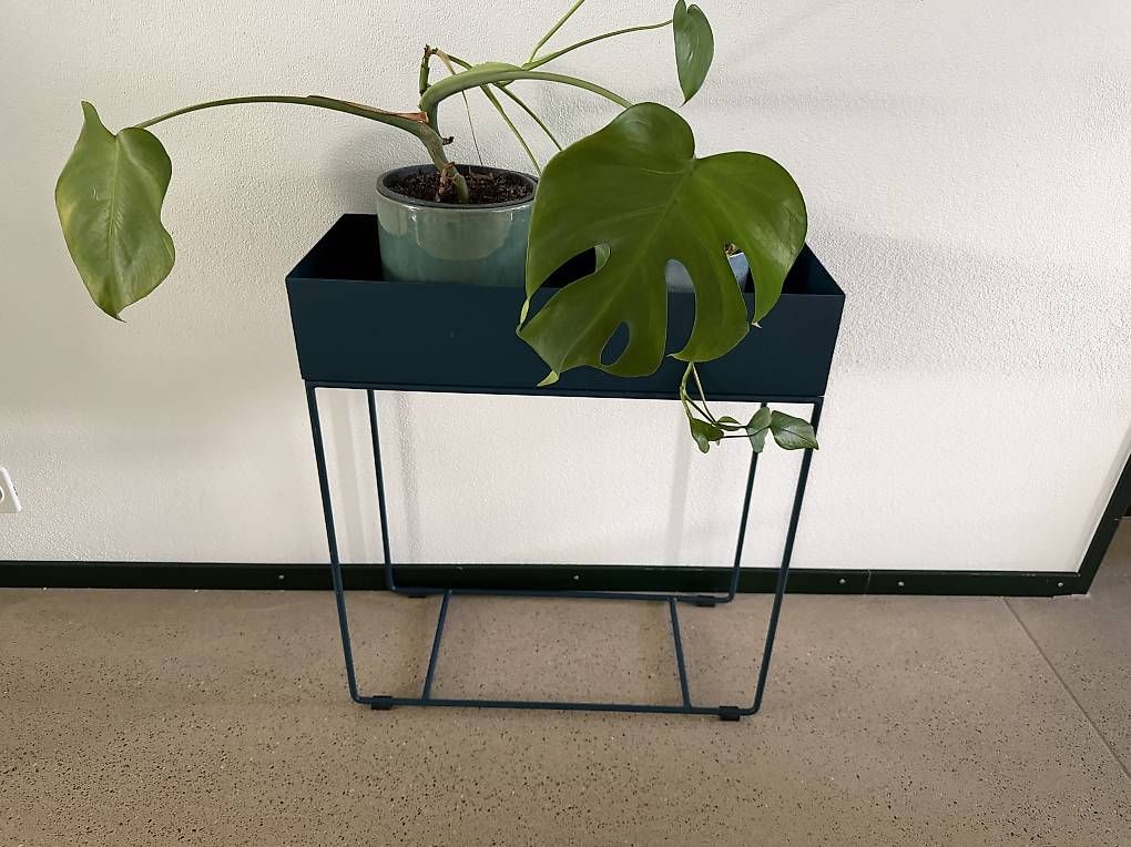 Altro per la casa: Giardimo LAB Stanley, Metall-Pflanzenständer dunkelblau – Usato da Winterthur venduto da Fazzoletto 1