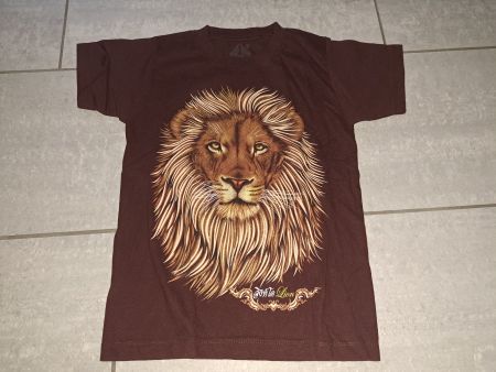 Rotbraunes T-Shirt mit Löwenprint, Grösse 140/146
