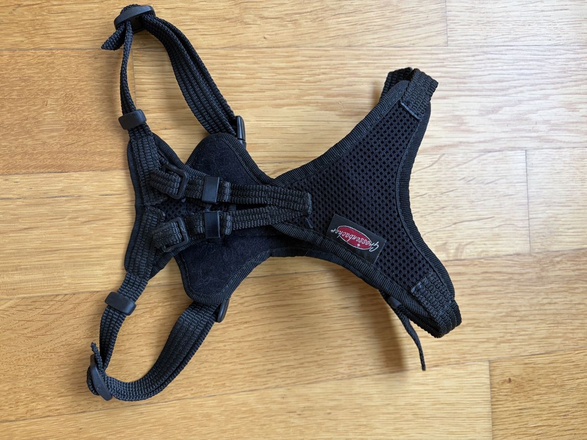 Kletterausrüstungen: Harnais chien (petit) – Neu (gemäss Beschreibung) aus Grand-Lancy von tbi_sk5l 1
