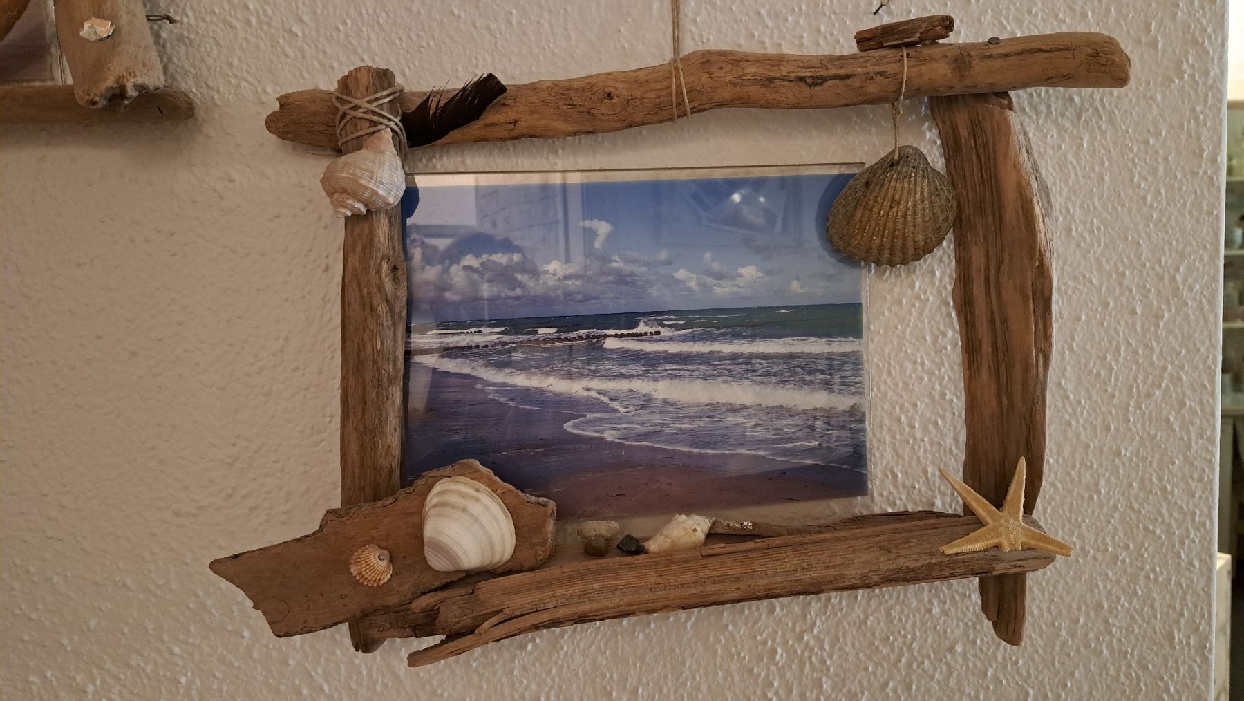 Foto & Immagini: Schwemmholzbilder – Usato da Kleindöttingen venduto da Strandgut88 1