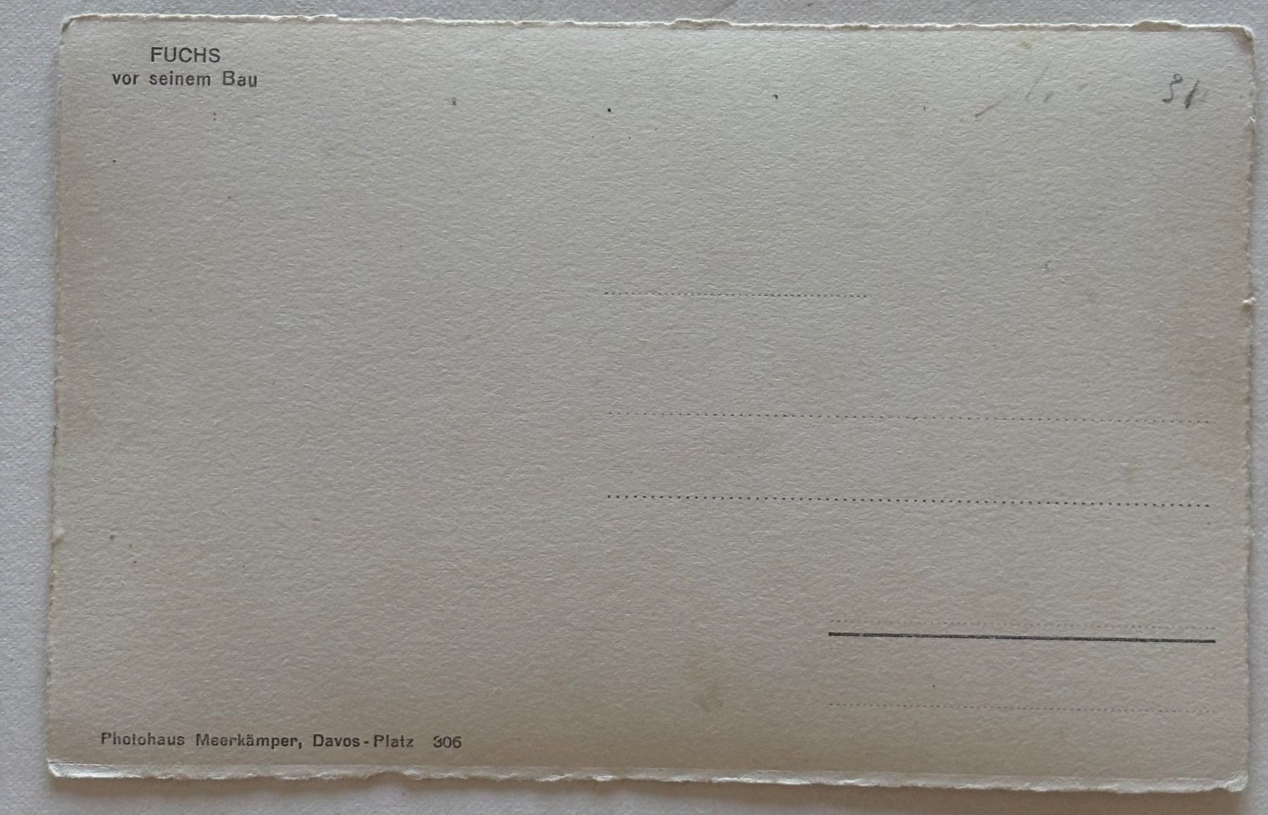Cartoline postali: E. Meerkämper, Davos - Fuchs – Usato da Frauenfeld venduto da Merk52 1