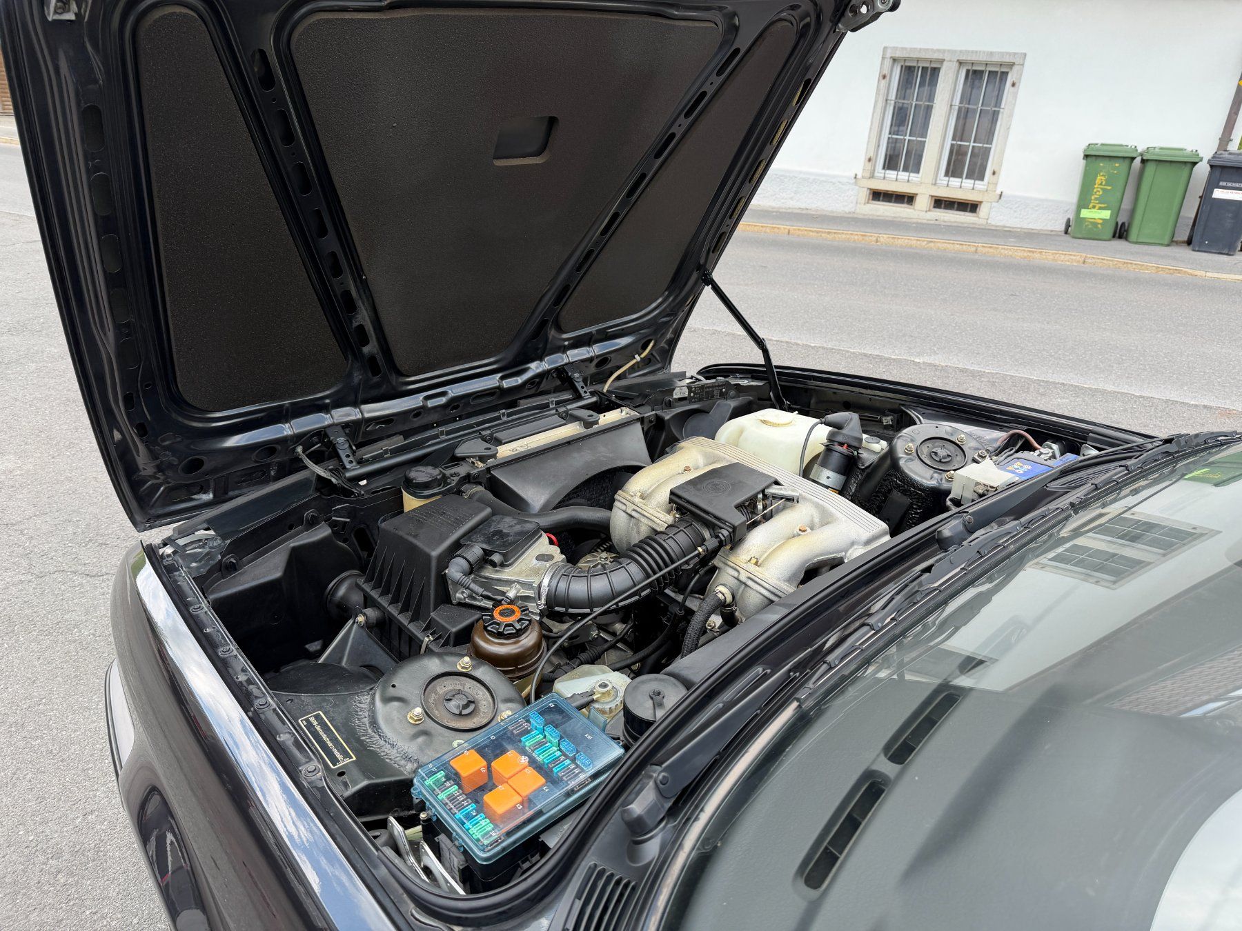 BMW Automobili: GEPFLEGTES 318i CABRIO MIT VERTERANENSTATUS – Usato da Richterswil venduto da 723738 7